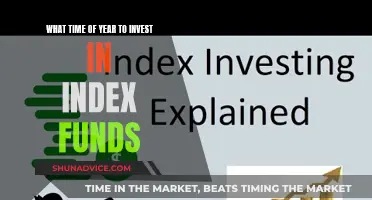 Index Funds: Best Time to Invest and Maximize Returns