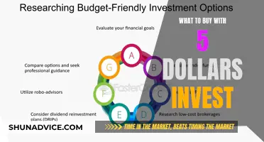 5 Dollar Investments: Smart Buys for Your Money