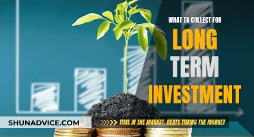 Building Wealth: Strategies for Long-Term Investment Success