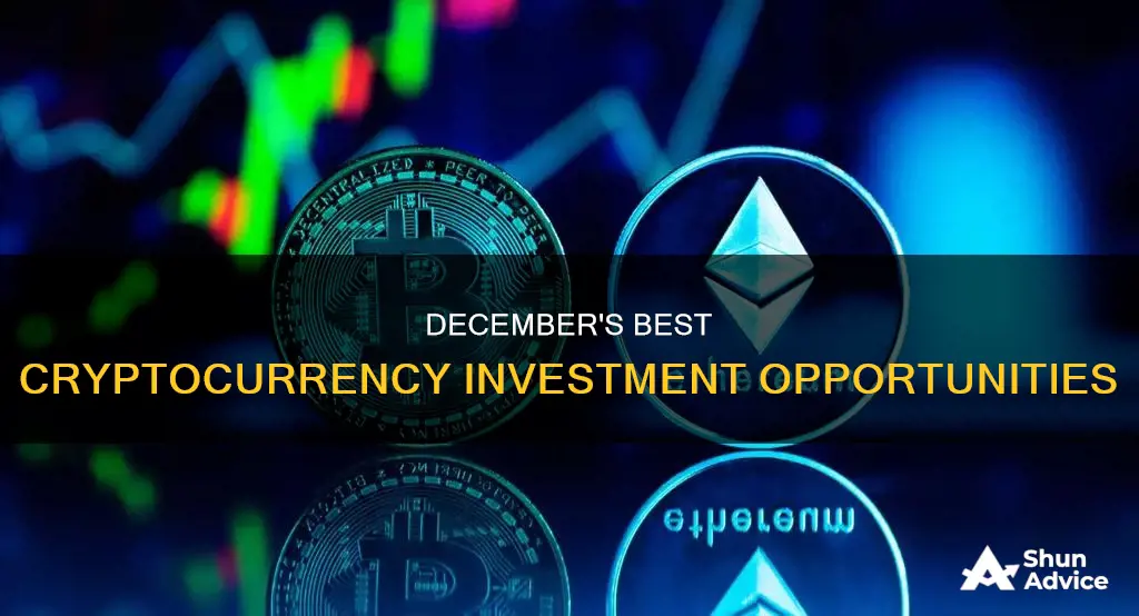 what to cryptocurrency to invest in december