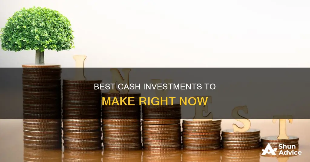 what to invest cash in right now