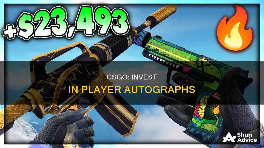 what to invest in csgo right now