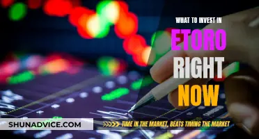 Best Etoro Investments Today