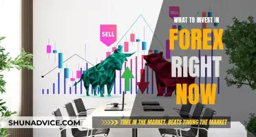 Best Forex Trades to Make Today