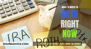 Roth IRA: Best Investments Now