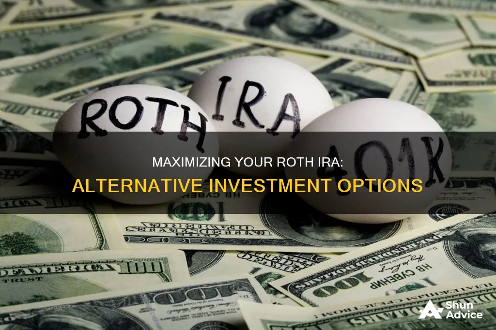 what to invest in when roth ira is fully funded