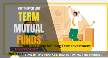 Mutual Fund Strategies: Long-Term Investments for Financial Freedom