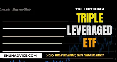 Triple-Leveraged ETF: What You Need to Know Before Investing