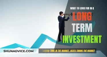 Navigating Long-Term Investments: Key Factors to Consider