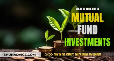 Key Factors for Choosing the Right Mutual Fund Investments