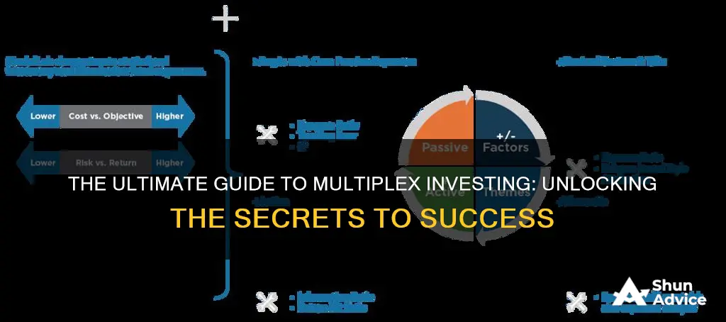 what to look for when buying a multiplex investment