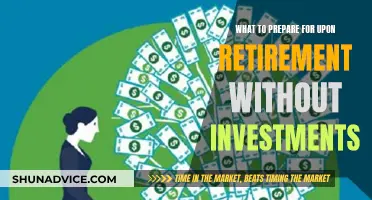 Retirement Reality Check: Navigating a Secure Future Without Investments