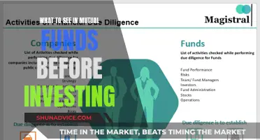 Mutual Fund Investment: Key Factors to Consider