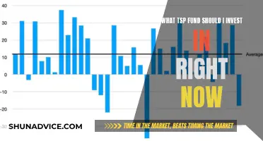 Best TSP Funds to Invest in Now