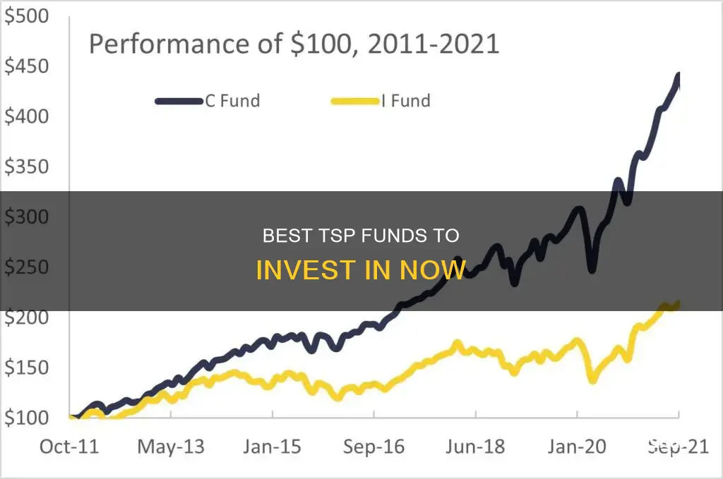 what tsp fund should I invest in right now