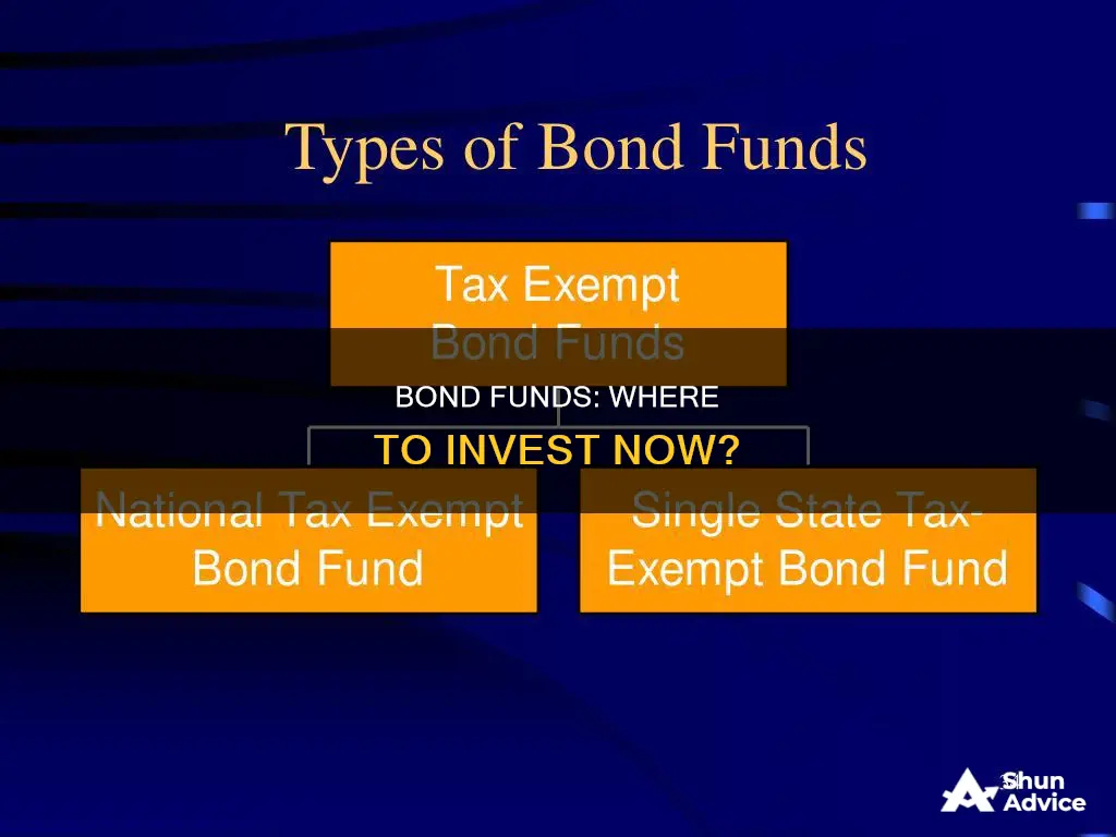 what type of bond fund should I invest in now