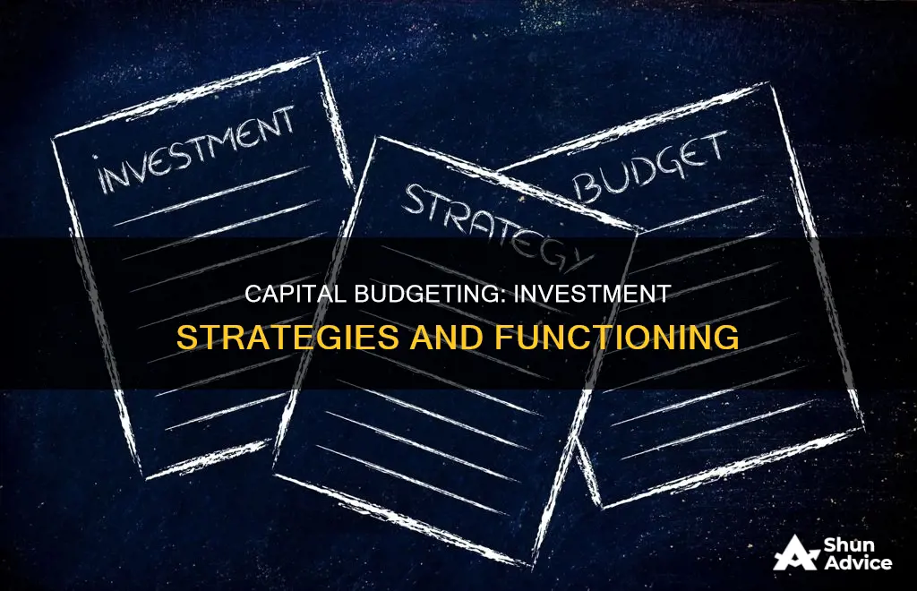 what type of budget is used for investment functions