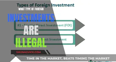 Unveiling the Dark Side: Illegal Foreign Investments