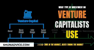 Venture Capitalists: Investment Strategies and Preferences