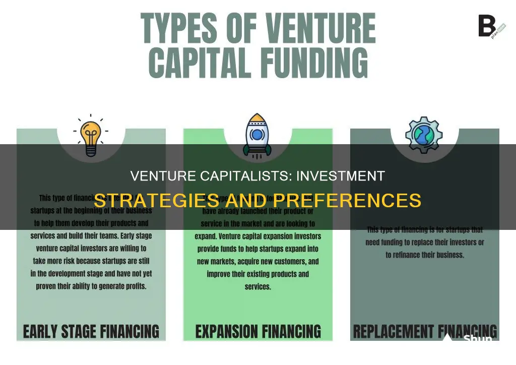 what type of investment do venture capitalists use