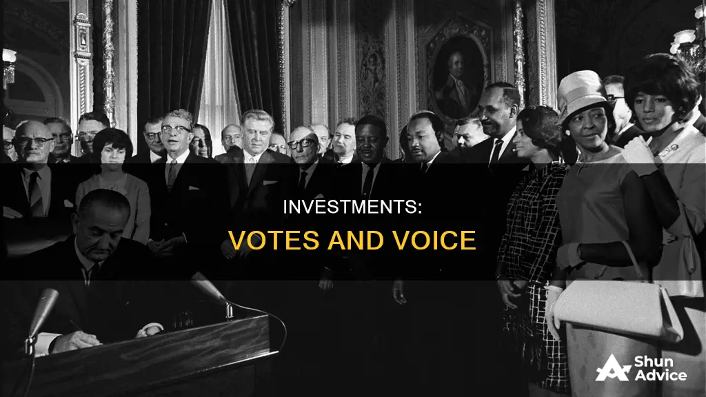 what type of investment have voting rights