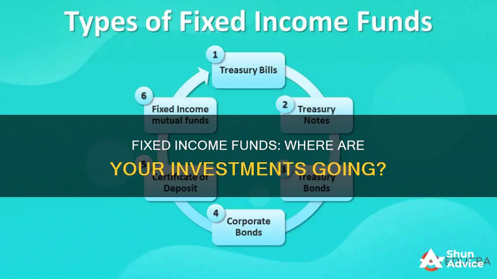 what type of investments are fixed income funds invested in