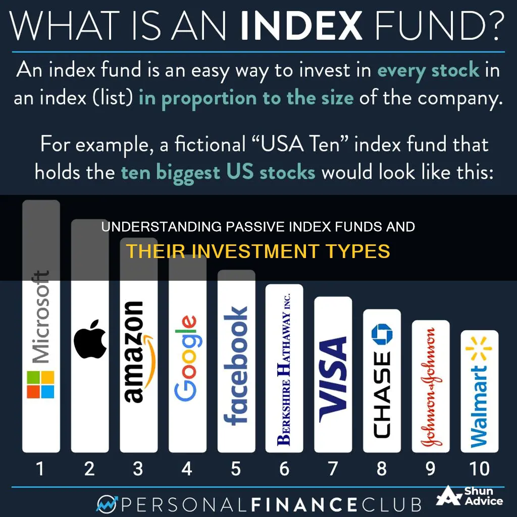 what type of investments are in passively managed index funds