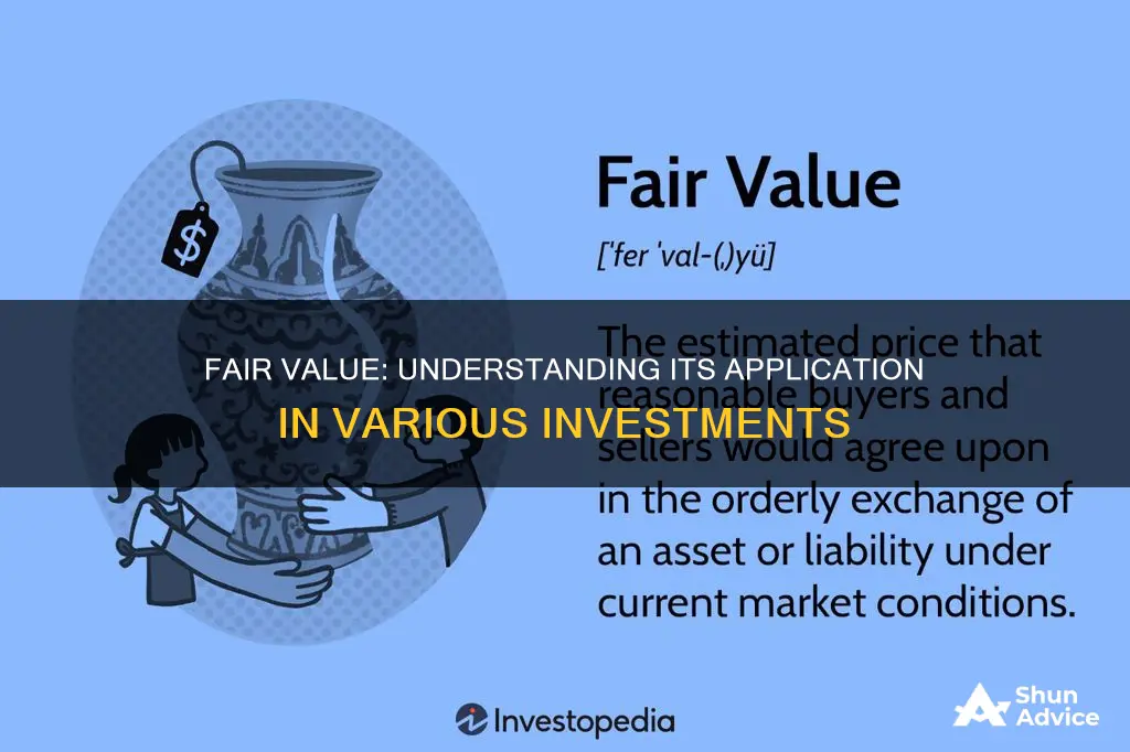 what type of investments use fair value