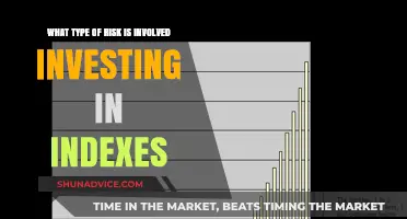 Index Investing: Navigating the Risks of Diversification