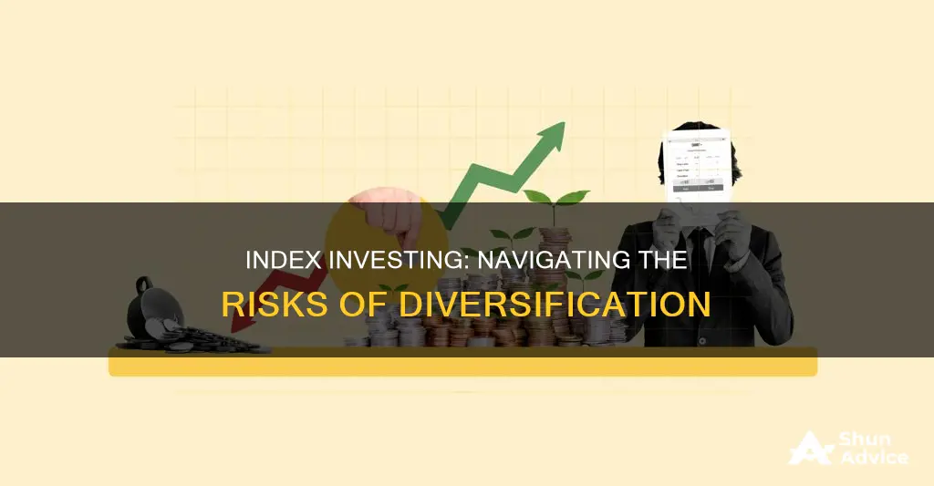 what type of risk is involved investing in indexes