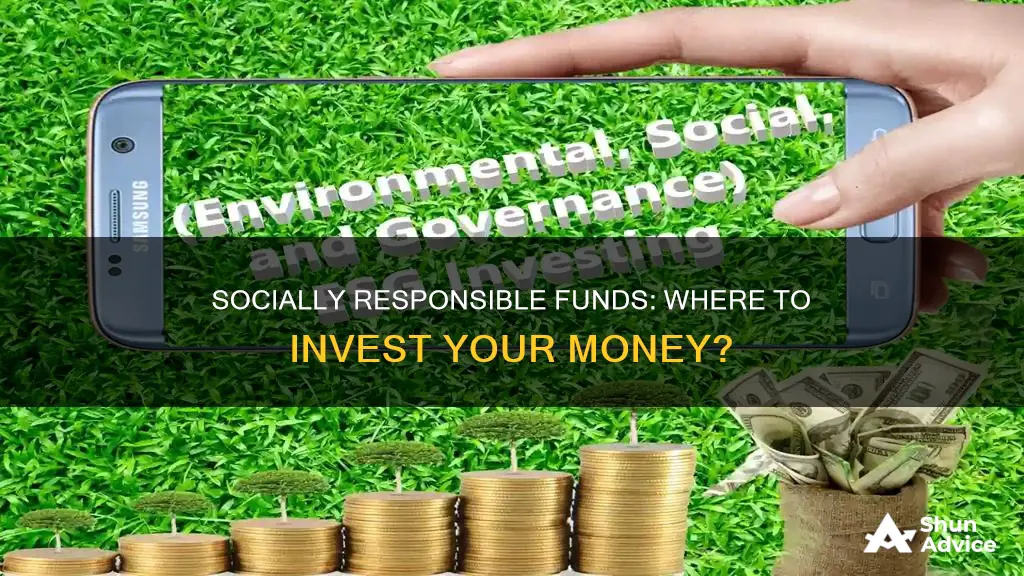 what type of socially responsible fund should I invest in