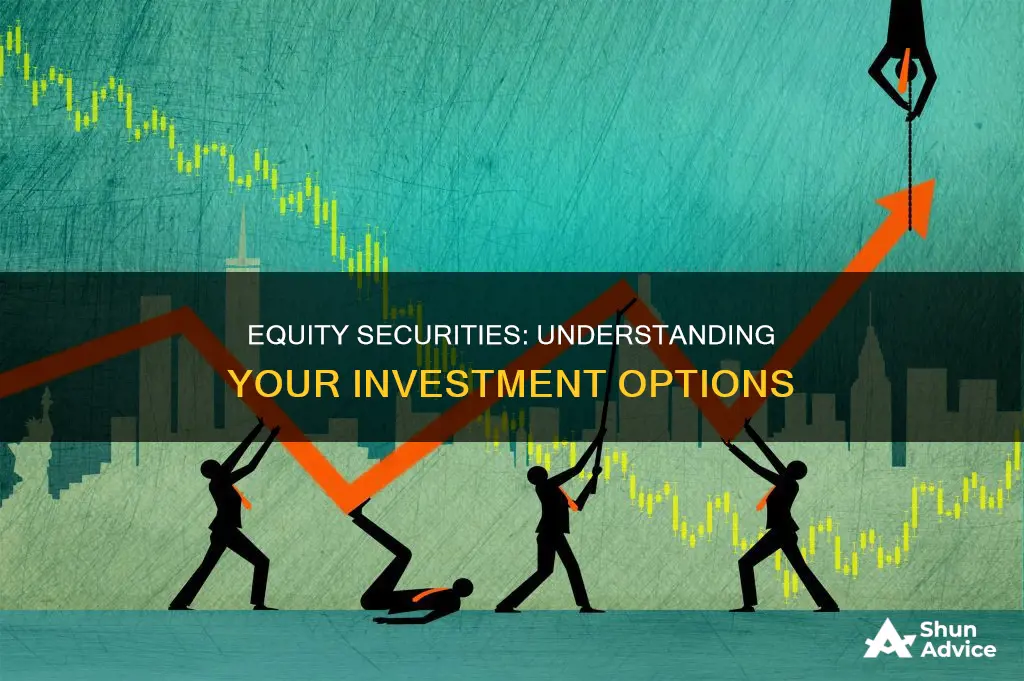 what types of investments are considered equity securities