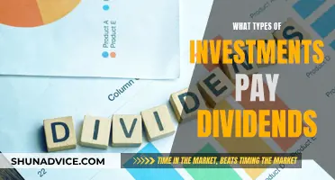 Understanding Dividend-Paying Investments: A Guide to Profitable Opportunities