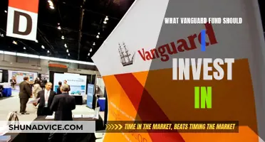 Vanguard Funds: Best Investment Options for Your Portfolio