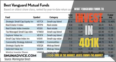 Best Vanguard Funds to Maximize Your 401(k) Returns