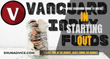 Vanguard Funds: Best Bets for New Investors