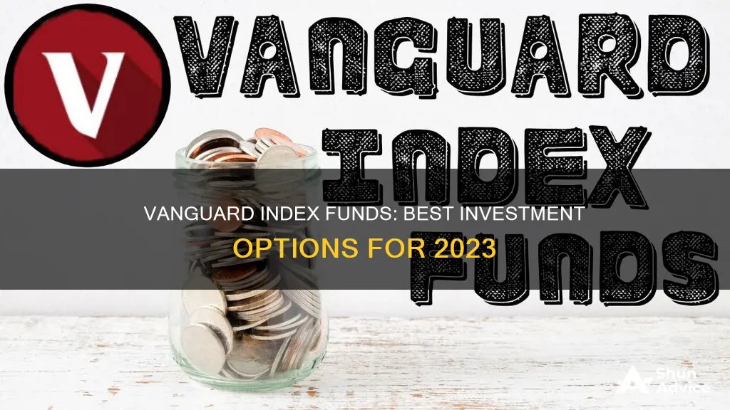 what vanguard index funds to invest in