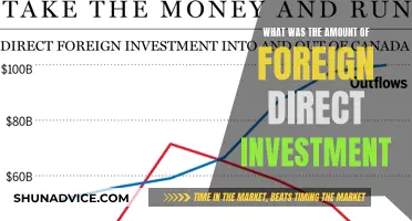 Foreign Direct Investment: Unlocking Global Capital Flows