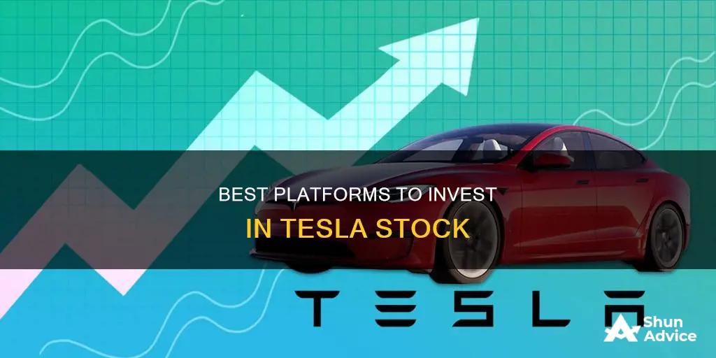 what website to use to invest in rtesla