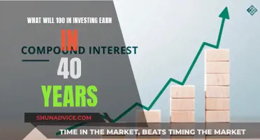 A Century's Worth of Investing: Unlocking the Power of Compound Interest