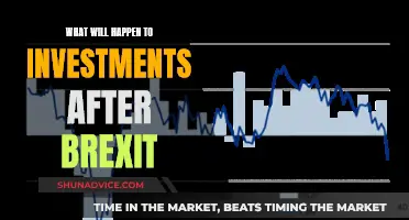 Brexit's Legacy: Navigating the Post-EU Investment Landscape