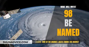 The Name Game: Unveiling Invest 98's True Identity