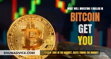 Bitcoin's Future: Investing a Dollar Today Could Mean..