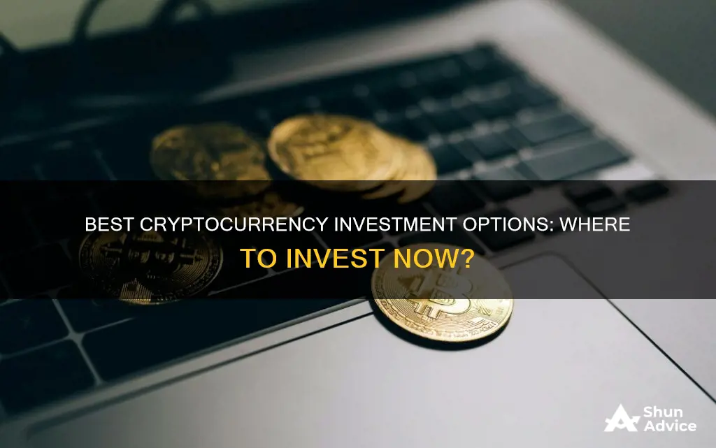 what would be the best cryptocurrency to invest in