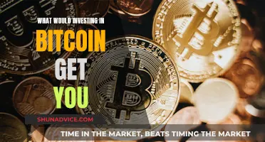 Bitcoin Investment: What's in it for You?