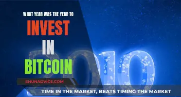 The Year of Bitcoin: When to Invest and Why