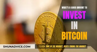 Bitcoin Investment: How Much Should You Risk?