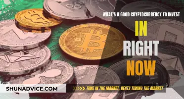 Best Cryptocurrency to Invest in Right Now