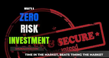 Understanding the Concept of Zero-Risk Investment: A Comprehensive Guide