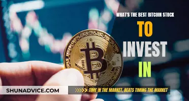 The Ultimate Bitcoin Stock: Where to Invest?